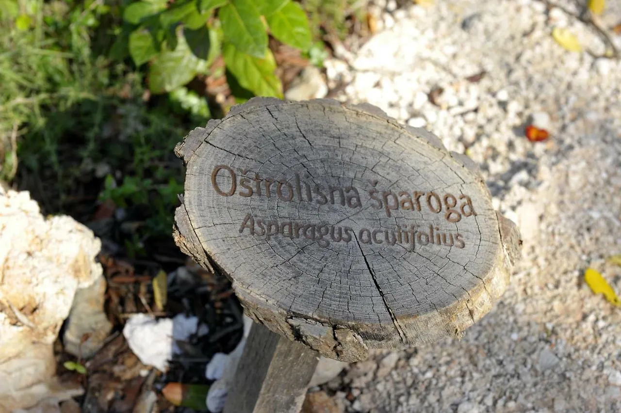 Grandpa Mate House Villa Dragove